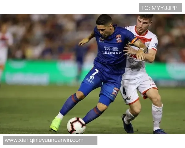 惠灵顿凤凰迎战纽卡斯尔喷气机期待精彩对决与激烈碰撞 惠灵顿凤凰迎战纽卡斯尔喷气机期待精彩对决与激烈碰撞