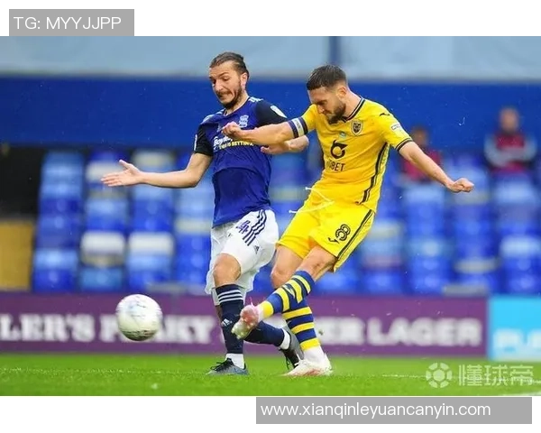 1月30日斯旺西对阵伯明翰比赛结果及精彩瞬间回顾 1月30日斯旺西对阵伯明翰比赛结果及精彩瞬间回顾