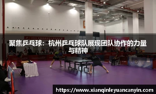 聚焦乒乓球：杭州乒乓球队展现团队协作的力量与精神